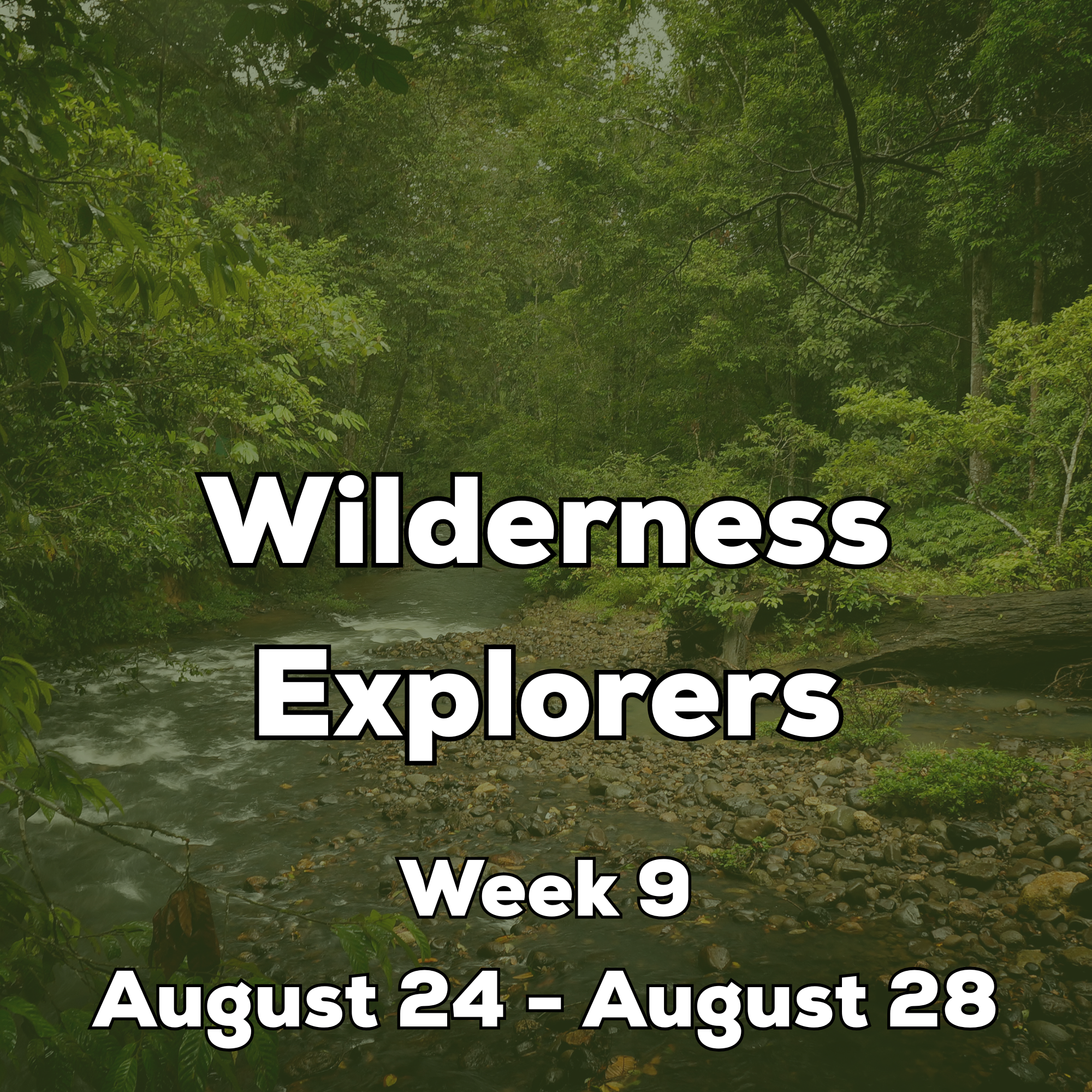 Week 9 - Wilderness Explorers